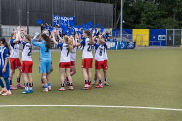 Bild 42 - wBJ Hamburger SV - FC Suederelbe : Ergebnis: 9:0